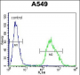 PALM3 Antibody (C-term)